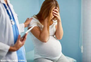 同性借卵代怀服务收费标准试管婴儿中心